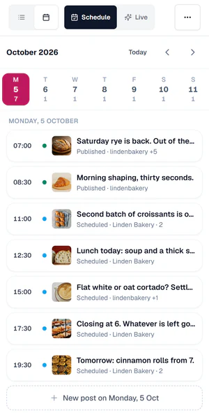 The calendar in a phone browser: one day's posts with their accounts and status