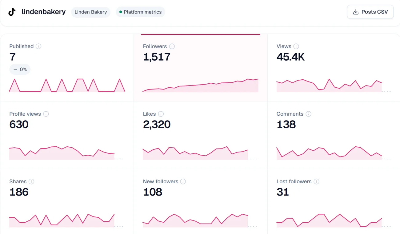 One TikTok account opened in Analytics: published, followers, views, profile views, likes, comments, shares, new and lost followers, each with its daily line, and a Posts CSV button
