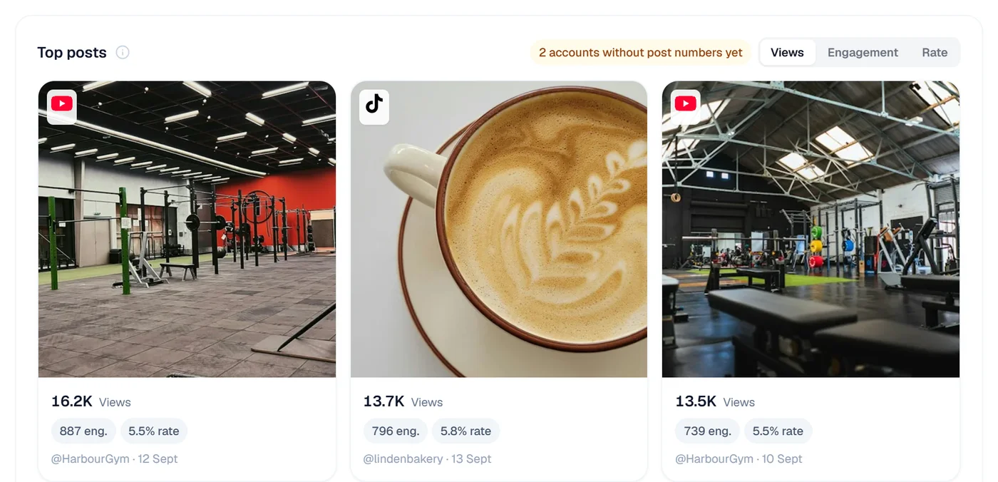 Top posts across every account: a YouTube video from Harbour Gym, a TikTok from Linden Bakery and another Harbour Gym video, each with views, engagement and rate